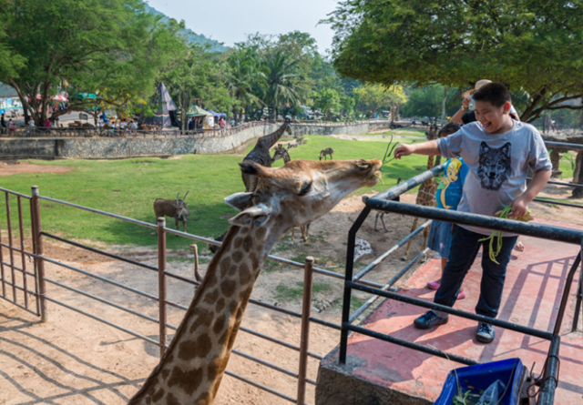 10 สถานที่ท่องเที่ยวยอดฮิตจังหวัดชลบุรี