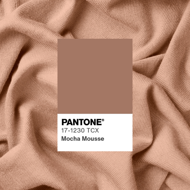 สีเสื้อ Mocha Mousse PANTONE 17-1230 TCX