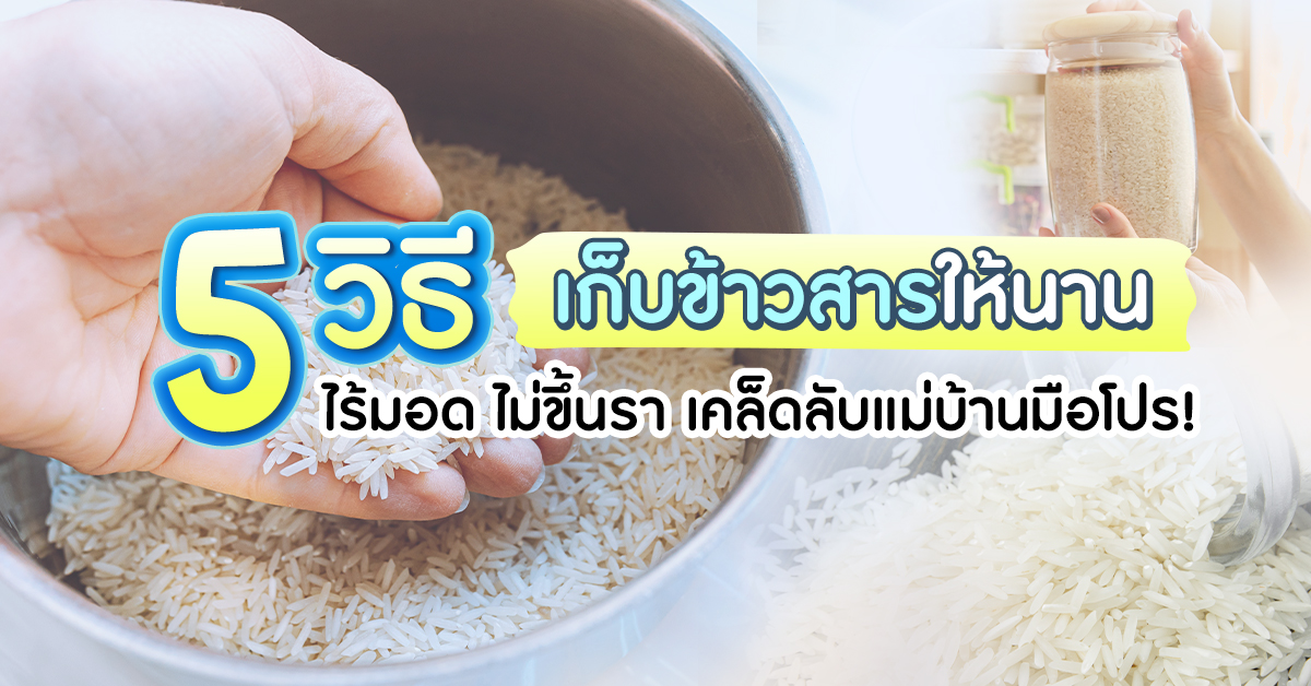 5 วิธีเก็บข้าวสารให้นาน ไร้มอด ไม่ขึ้นรา เคล็ดลับแม่บ้านมือโปร