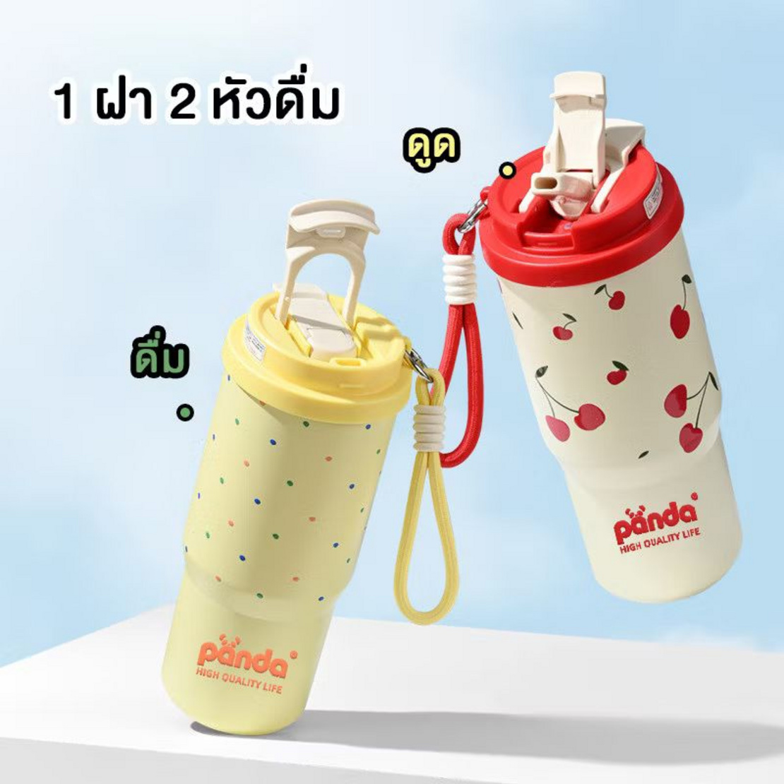 DHC TINTIN SHOP