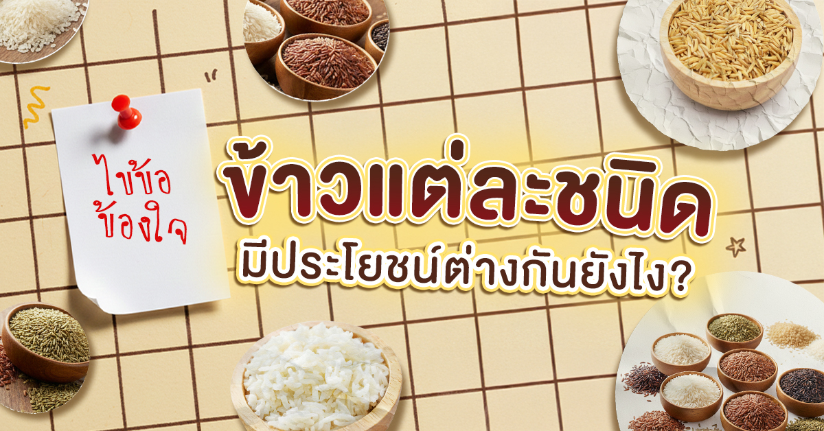 Cover-ไขข้อข้องใจ ข้าวแต่ละชนิด มีประโยชน์ต่างกันยังไง_