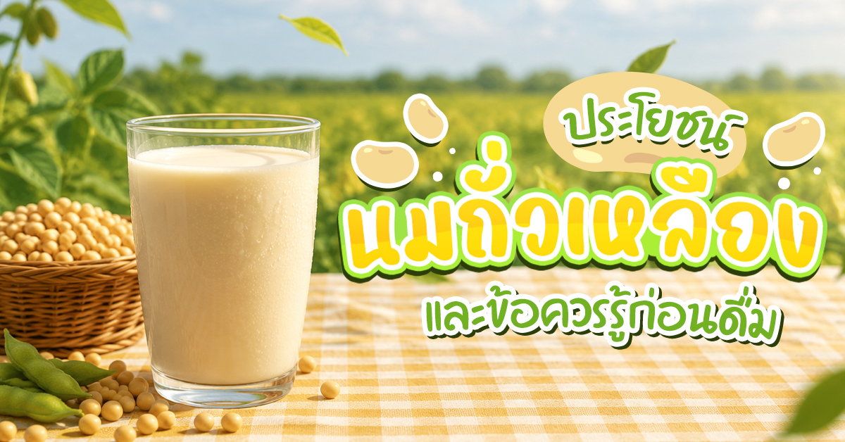 ประโยชน์ นมถั่วเหลือง