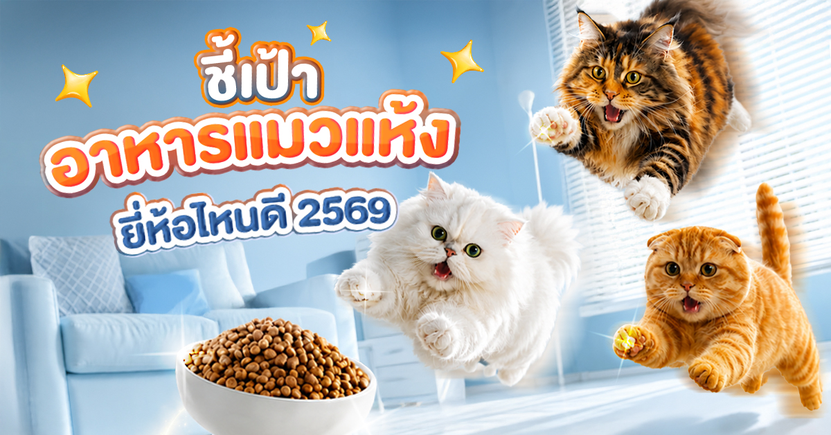 อาหารแมวแห้งยี่ห้อไหนดี 2569