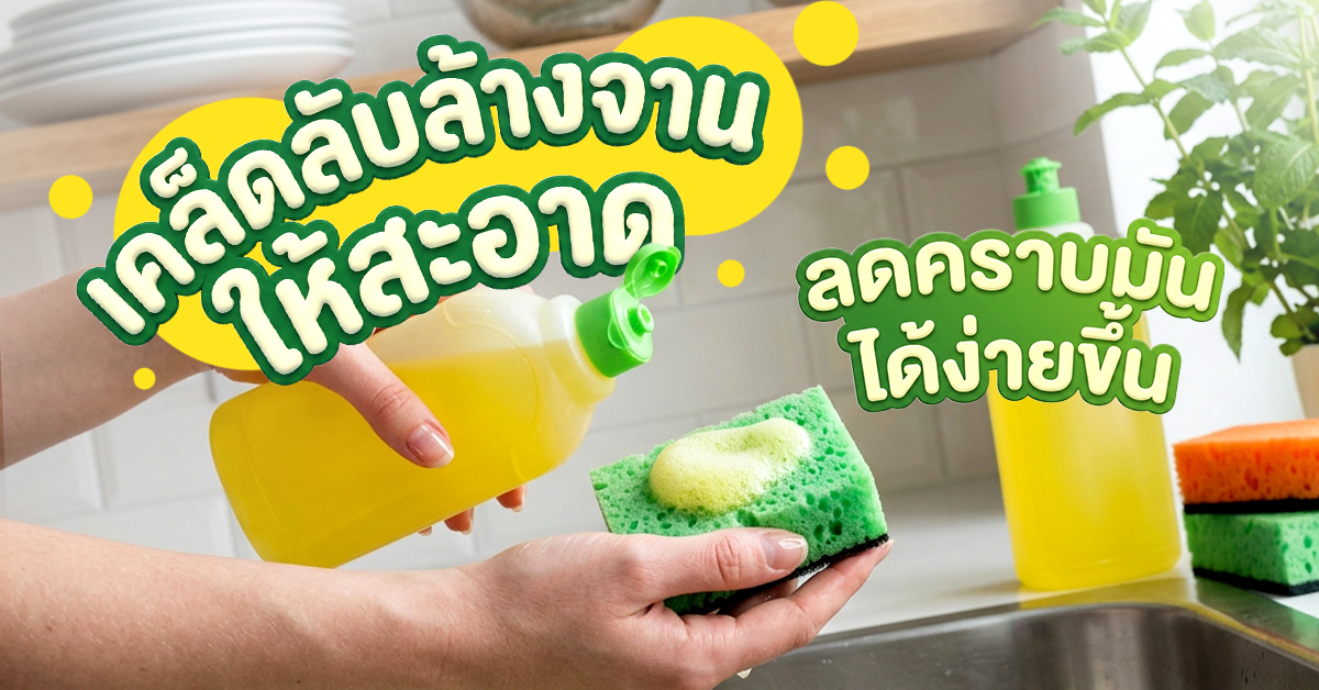 เคล็ดลับล้างจานให้สะอาด
