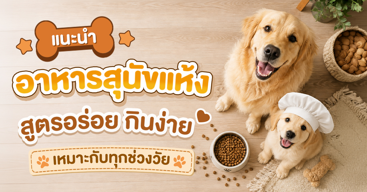 แนะนำอาหารสุนัขแห้ง 2569